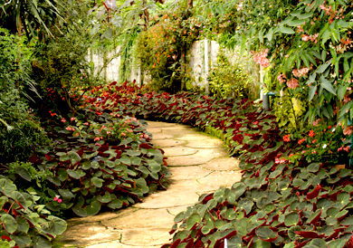 Home projects-02.jpg